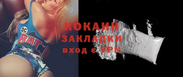 кокс Гусев
