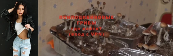 кокс Гусев